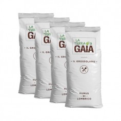 Humus Di Lombrico il...