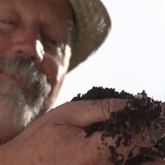 Humus Di Lombrico il... 2