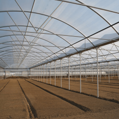 SERRA PROFESSIONALE 2